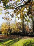 felsted 21